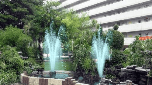 地址及电话寿星大厦养老院详情信息一览麻将胡了游戏广州寿星大厦养老院具体(图3)